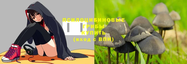 герыч Алексин