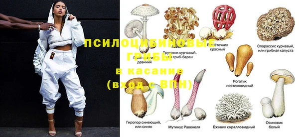 герыч Алексин